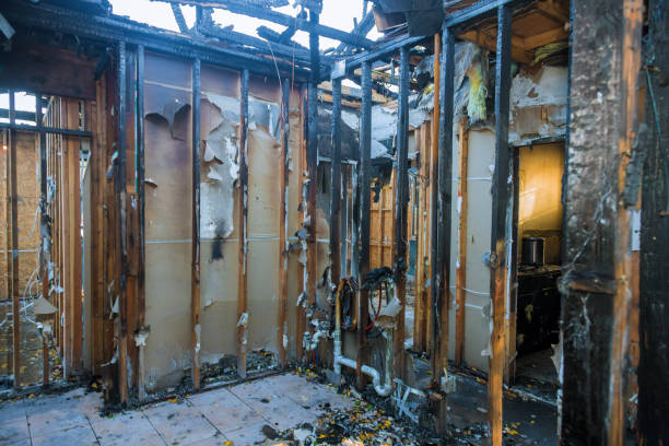 Professional Fire Damage Assessment technician working in Shady Hollow, TX